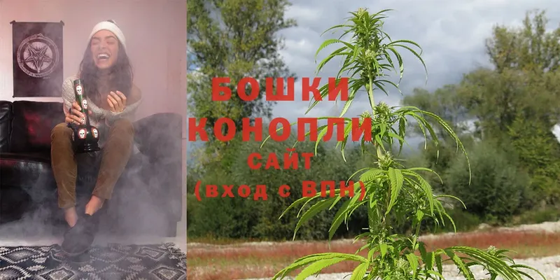 Шишки марихуана SATIVA & INDICA  гидра   Закаменск  где продают  